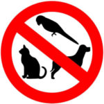 No pets allowed